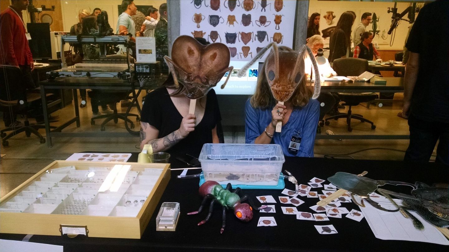 Photo of Tsutsui Lab members presenting research at a Cal Academy Nightlife event.