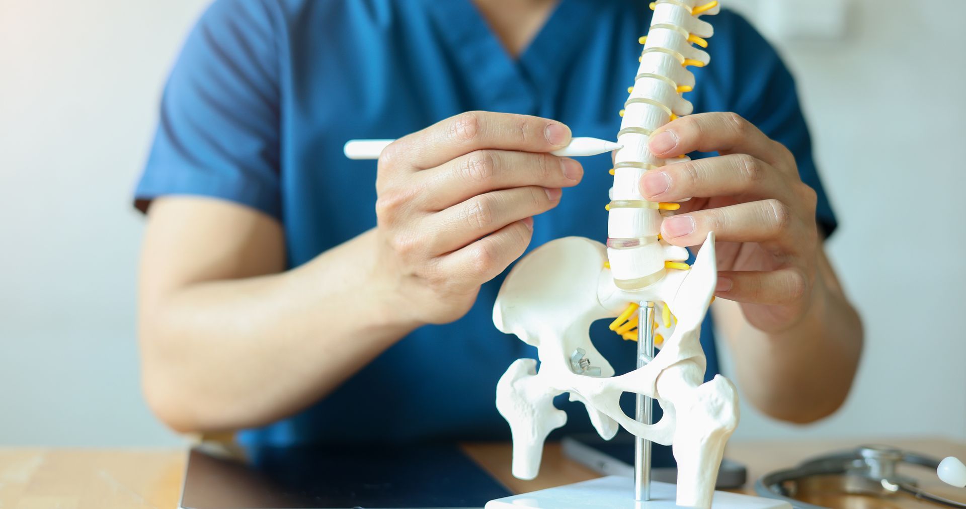 Hände, die ein Wirbelsäulenmodell mit Becken darstellen und auf eine ärztliche oder chiropraktische Beratung hinweisen.