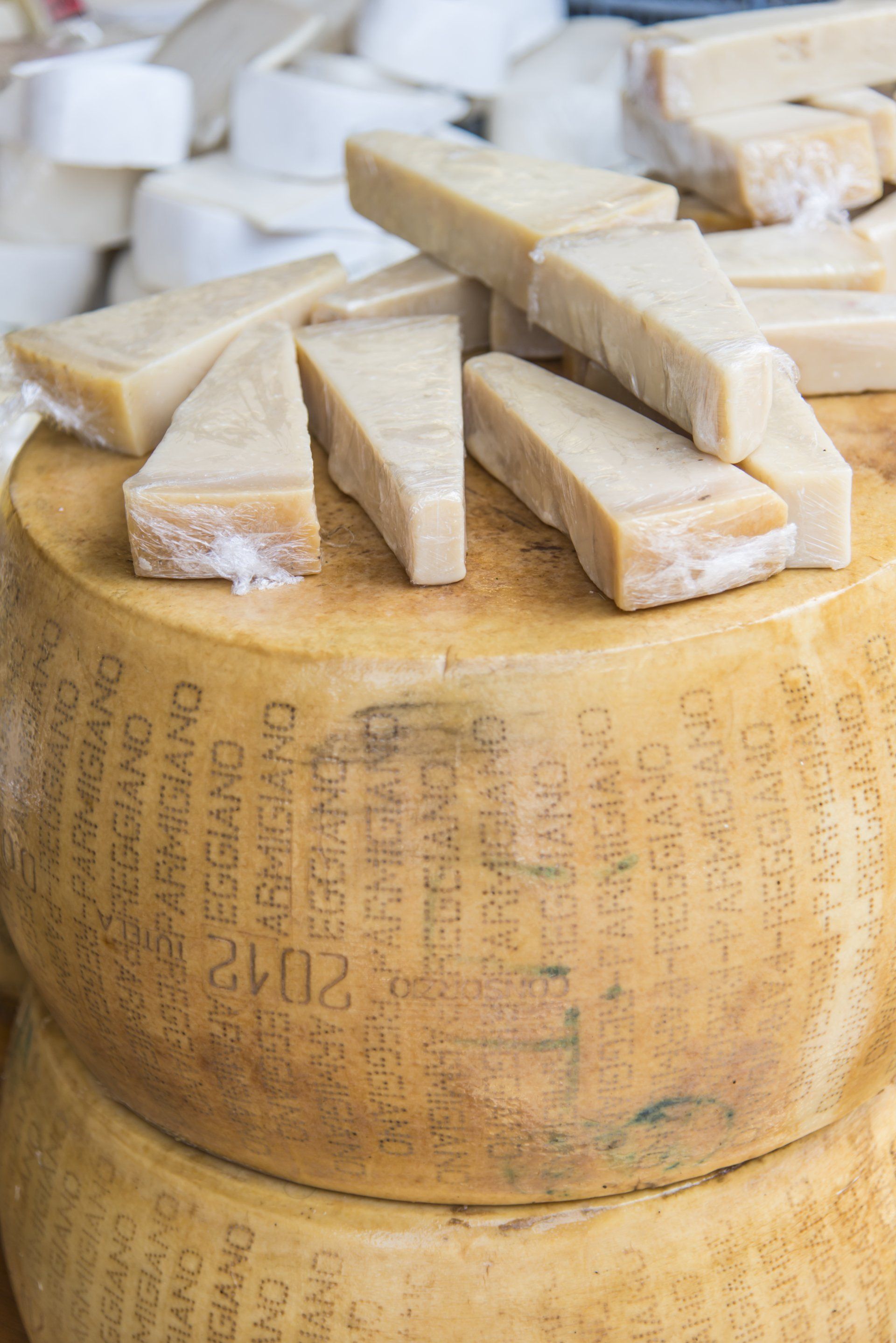 Lattiero Caseario
