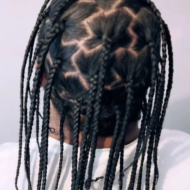 Braided hairstyle with black cornrows and long braids viewed from the back