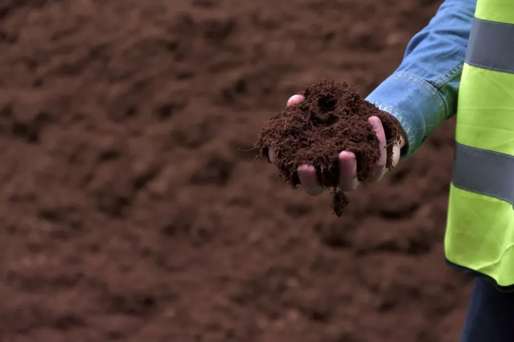 Red Dirt — Soil in Port Macquarie, NSW