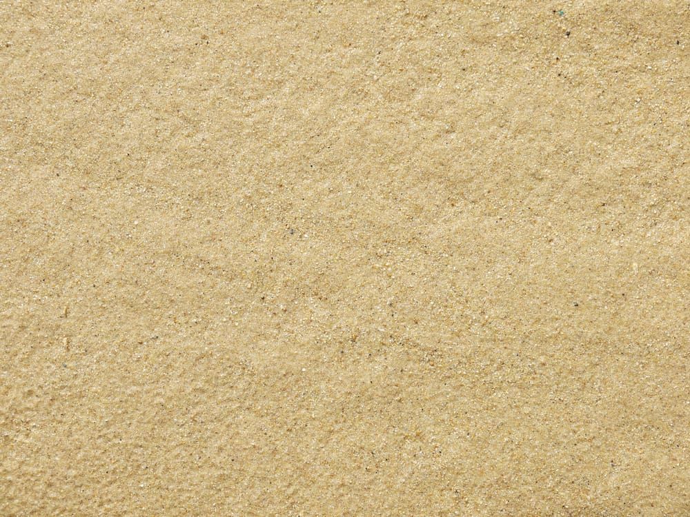 River Sand Washed — Landscape Supplies in Port Macquarie, NSW