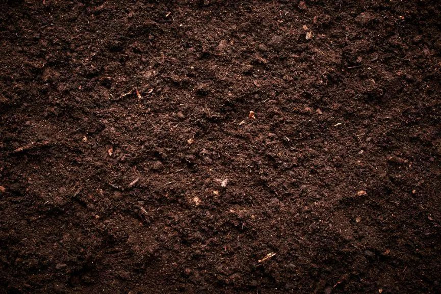 ANL Garden Soil — Soil in Port Macquarie, NSW
