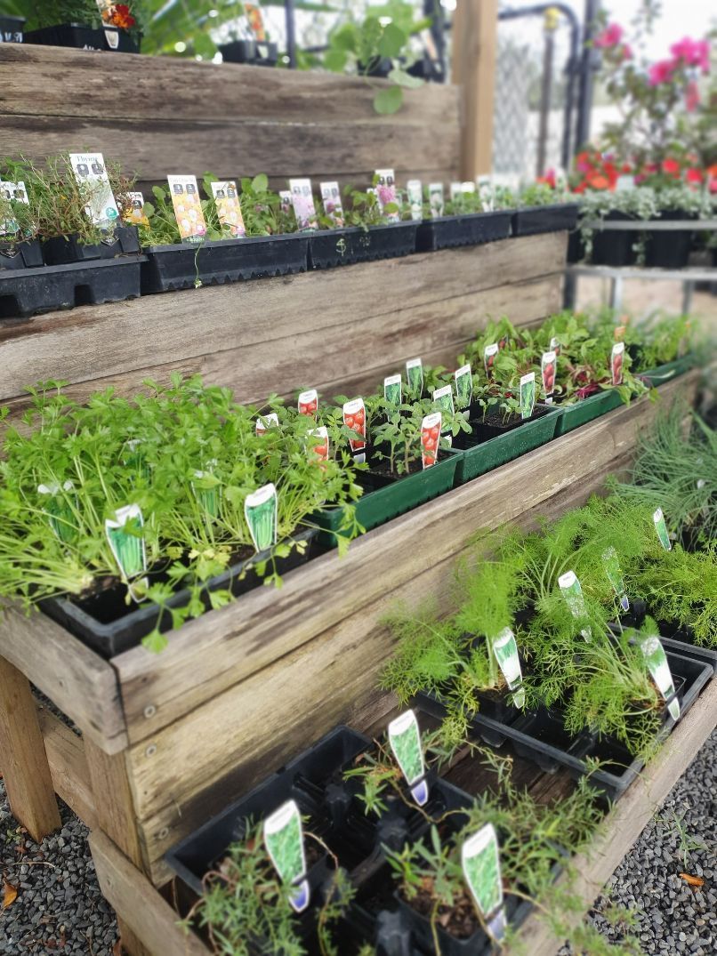 Herb Selection — Landscaping Supplies in Port Macquarie, NSW