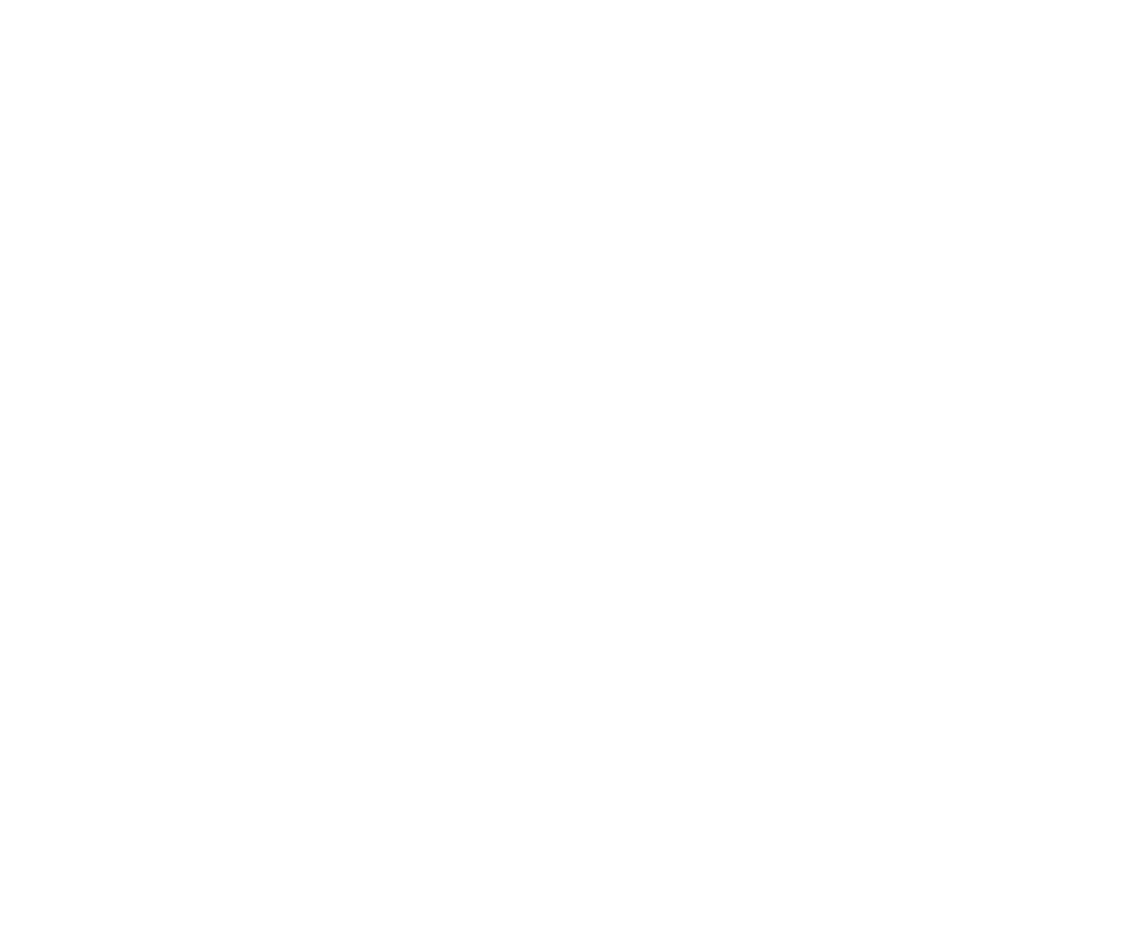 logo-image