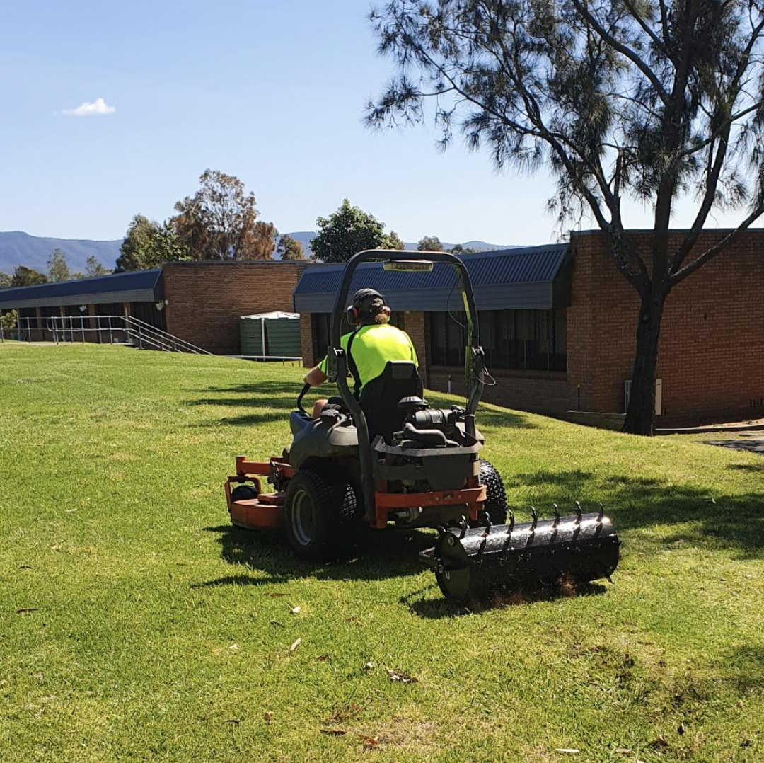 Environment Friendly Indoor Plants - Wollongong, NSW - D & L Indoor Plant Hire Environment Friendly Indoor Plants - Wollongong, NSW - D & L Indoor Plant Hire