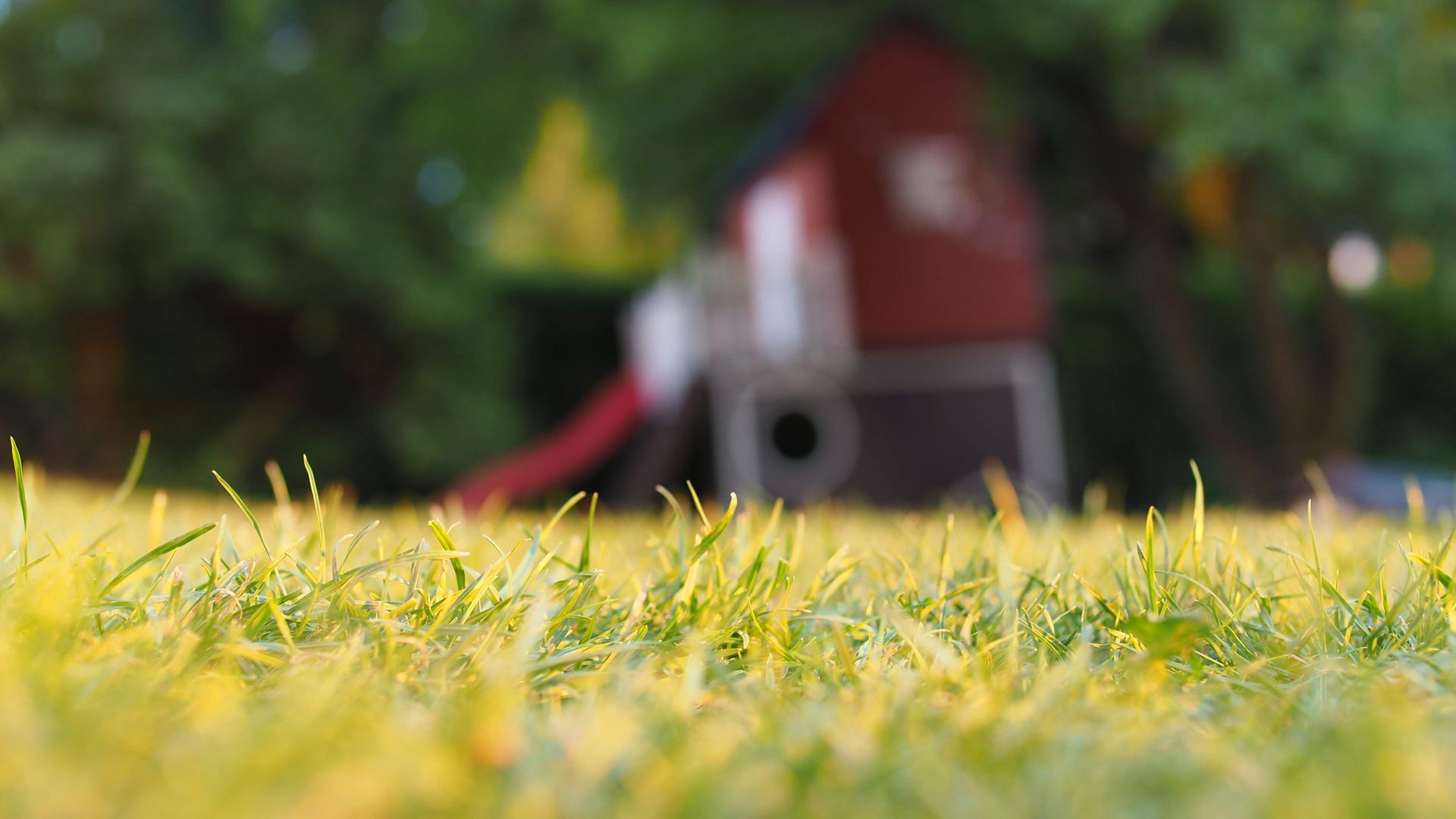 Blades of grass in focus with a blurred red-and-white birdhouse in the background.