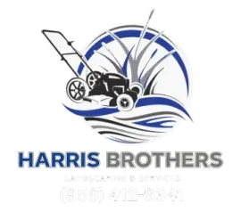 Black lawn mower in front of blue swooshes and grass blades, logo-style graphic