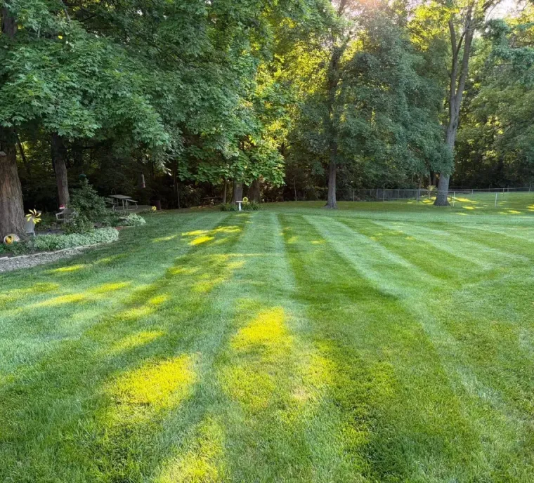 Sunlit green lawn with striped mowing patterns, bordered by trees and shrubs in a park-like yard