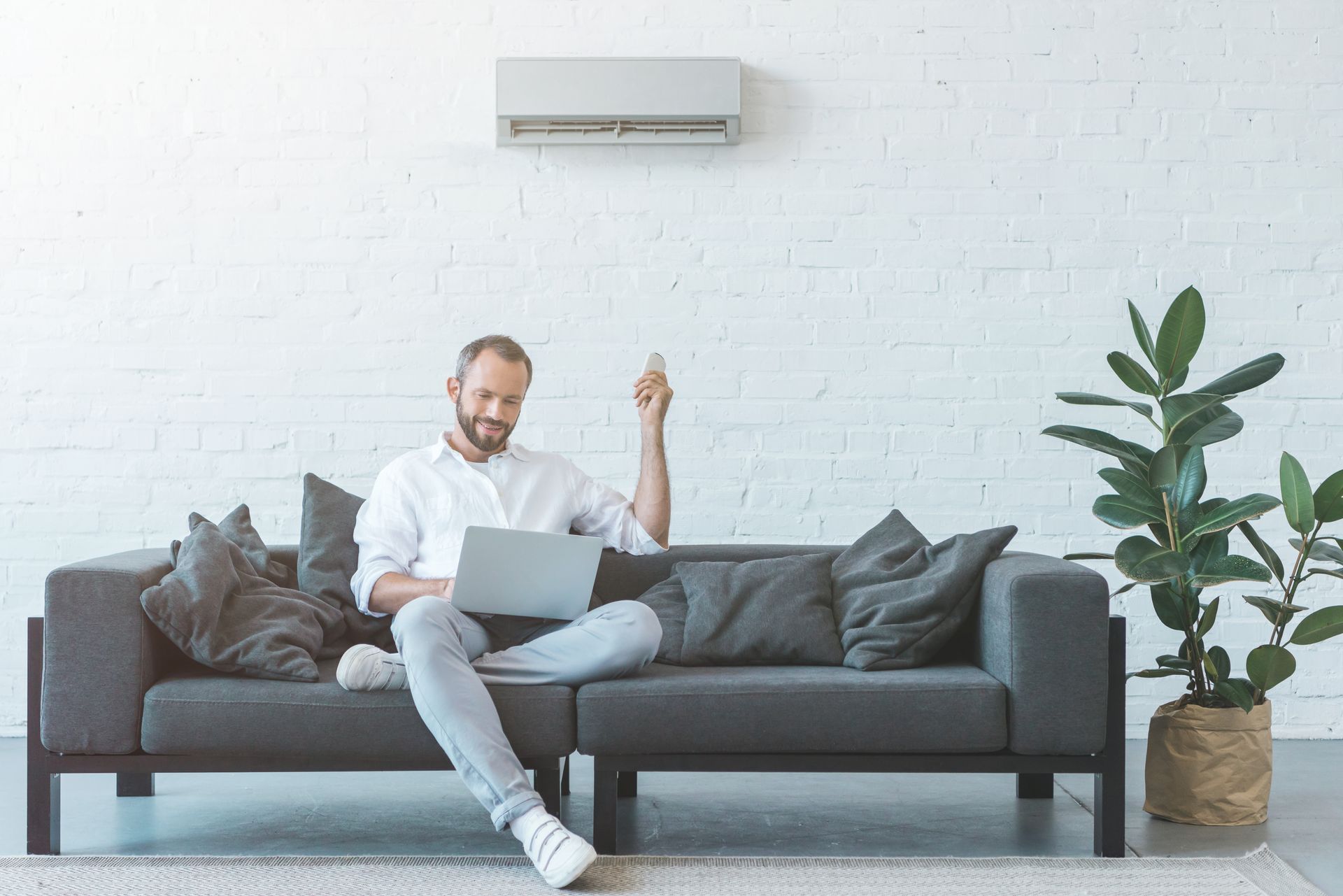 Une personne utilise un ordinateur portable sur un canapé gris dans un salon lumineux avec un climatiseur mural et une plante en pot.