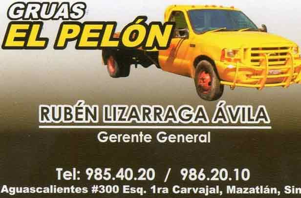 GRÚAS EL PELÓN - grúas
