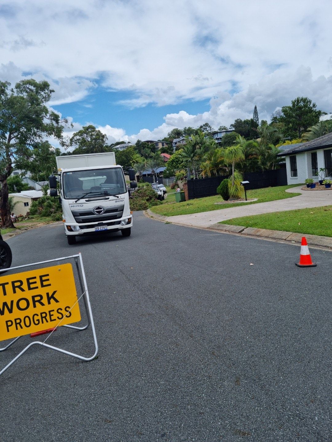 Tree Removal Gallery | Tree Lopping Gold Coast