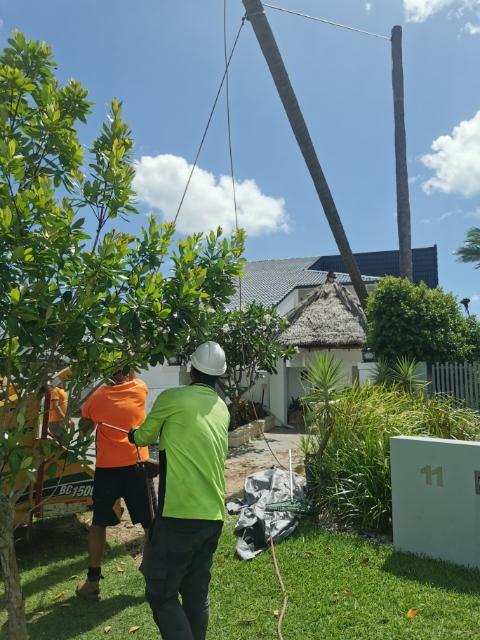 A man wearing a hard hat is standing next to another man tree loppers 