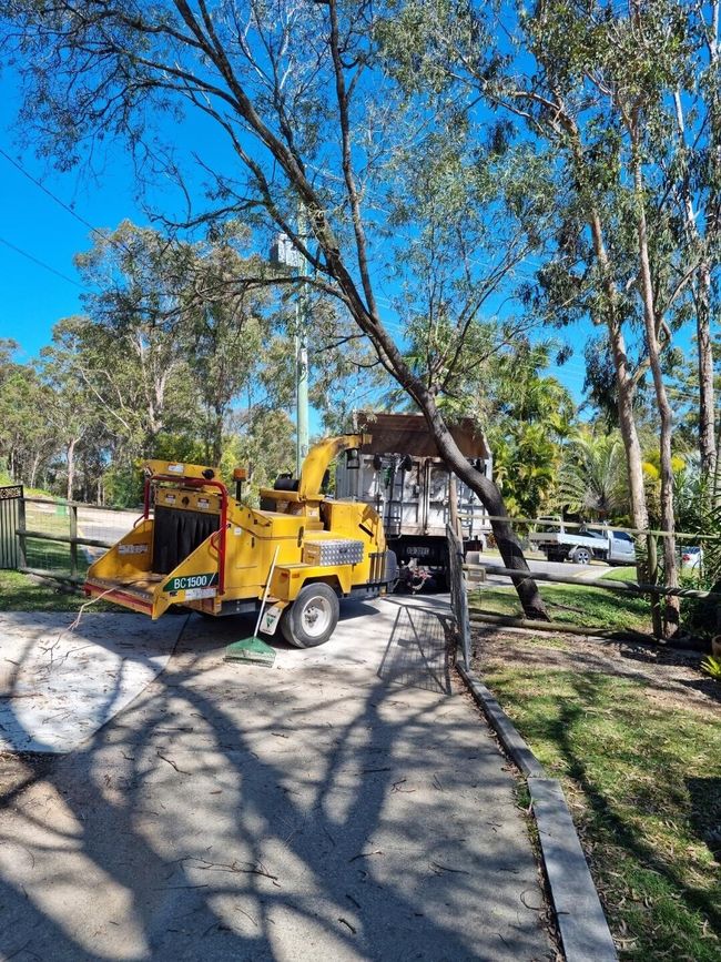 Yellow wood chipper truck on a residential street with trees and parked cars in bright sunlight