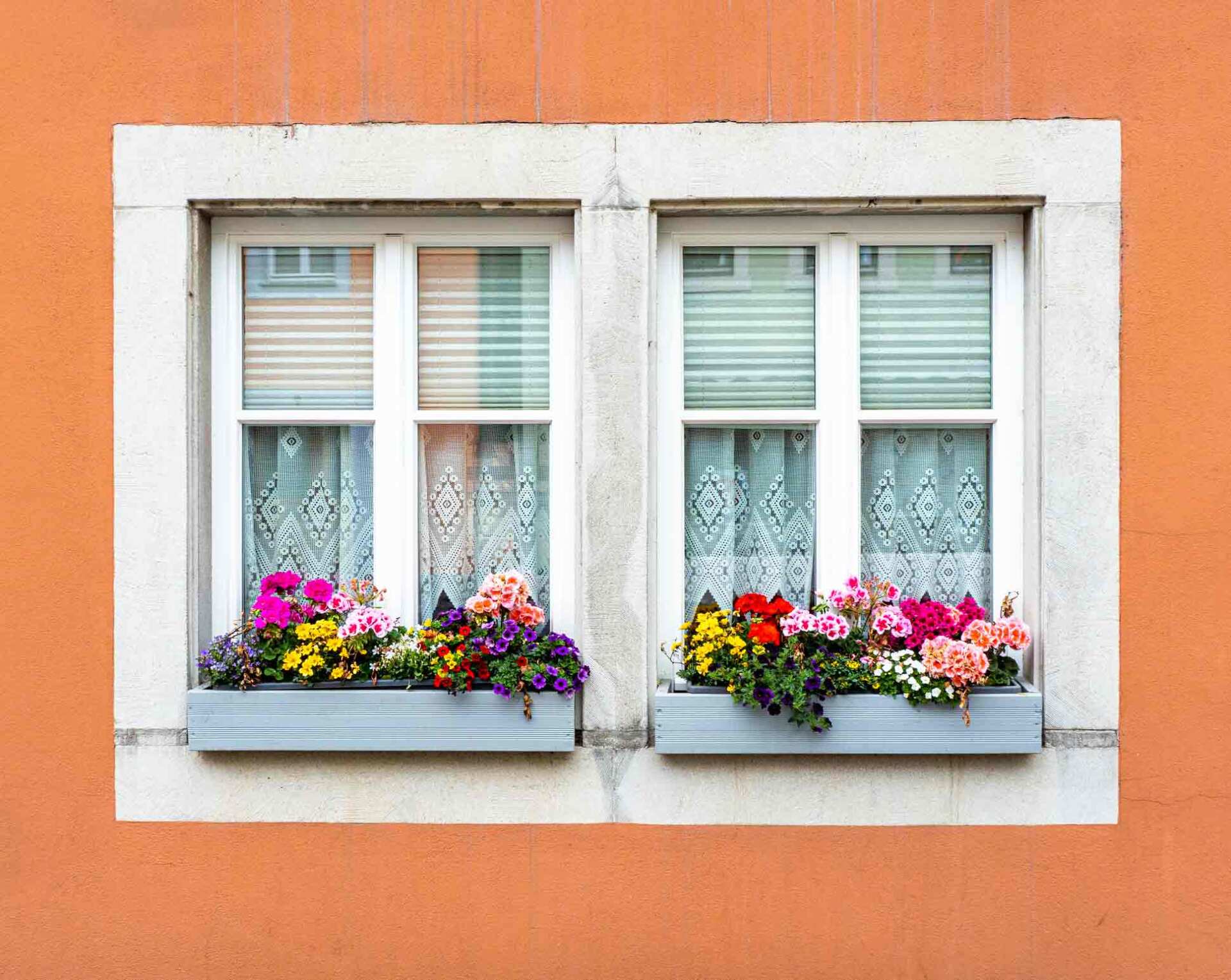 Windows And Flowers Outside — Lakeville, MN — Bradach Roofing Siding & Window Windows And Flowers Outside — Lakeville, MN — Bradach Roofing Siding & Window