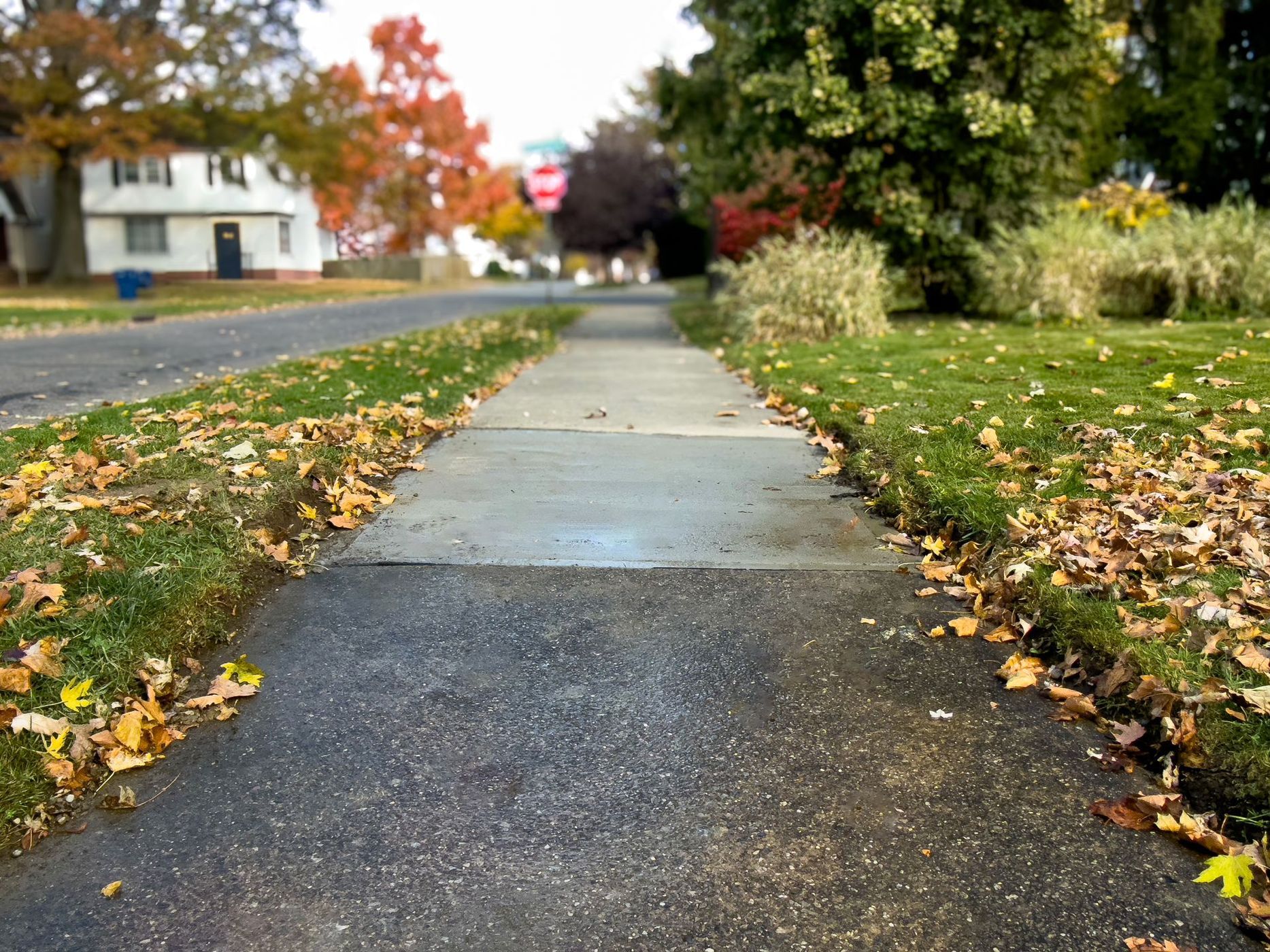 Concrete: Sidewalk repair in Cleveland, Ohio