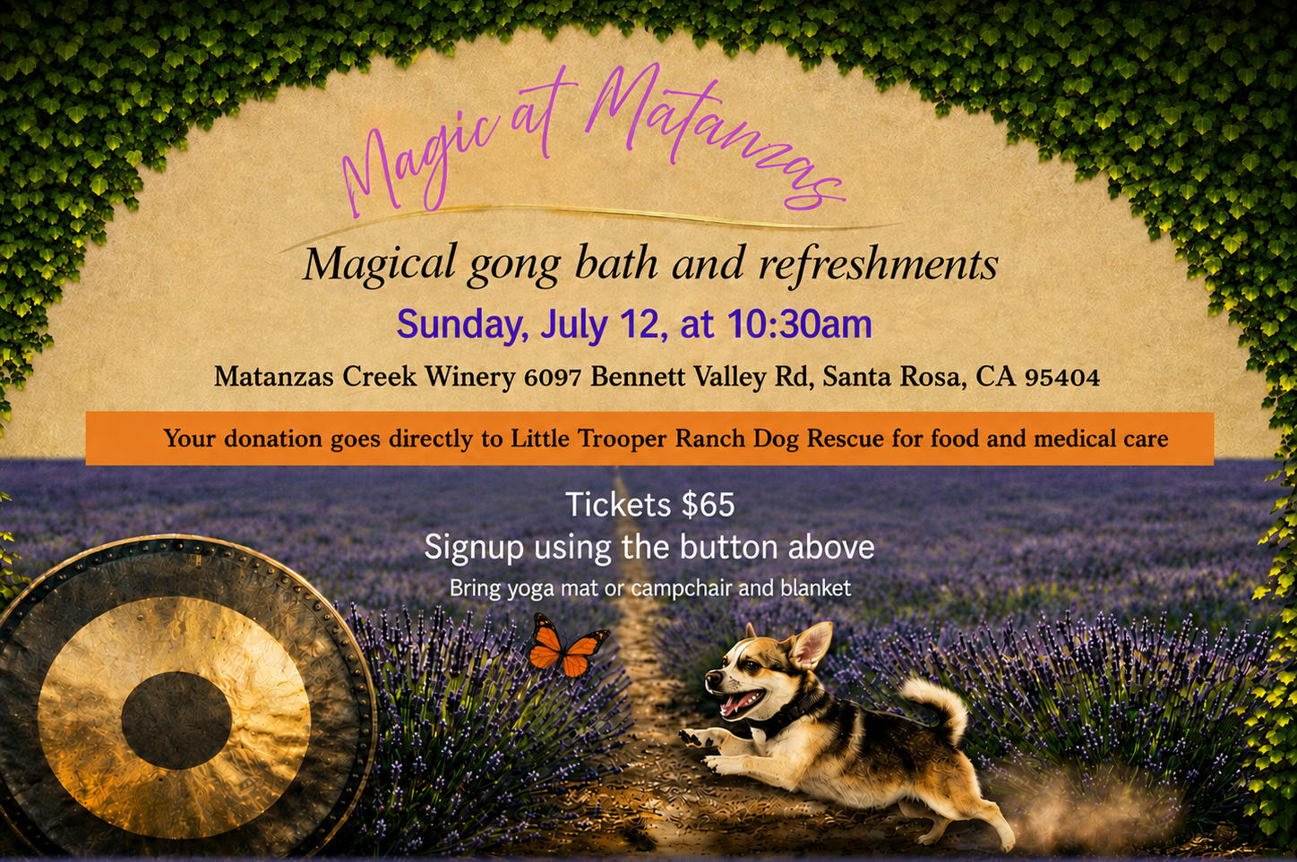 Magic at Matanzas Soundbath