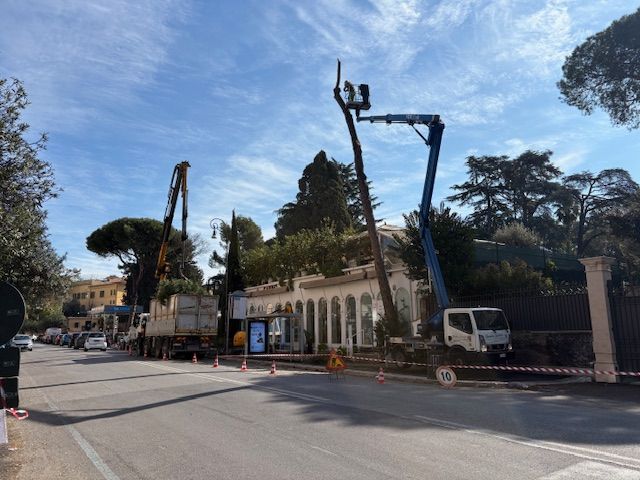 Impianto di irrigazione automatico in un giardino residenziale con prato verde e irrigatori in funzione.