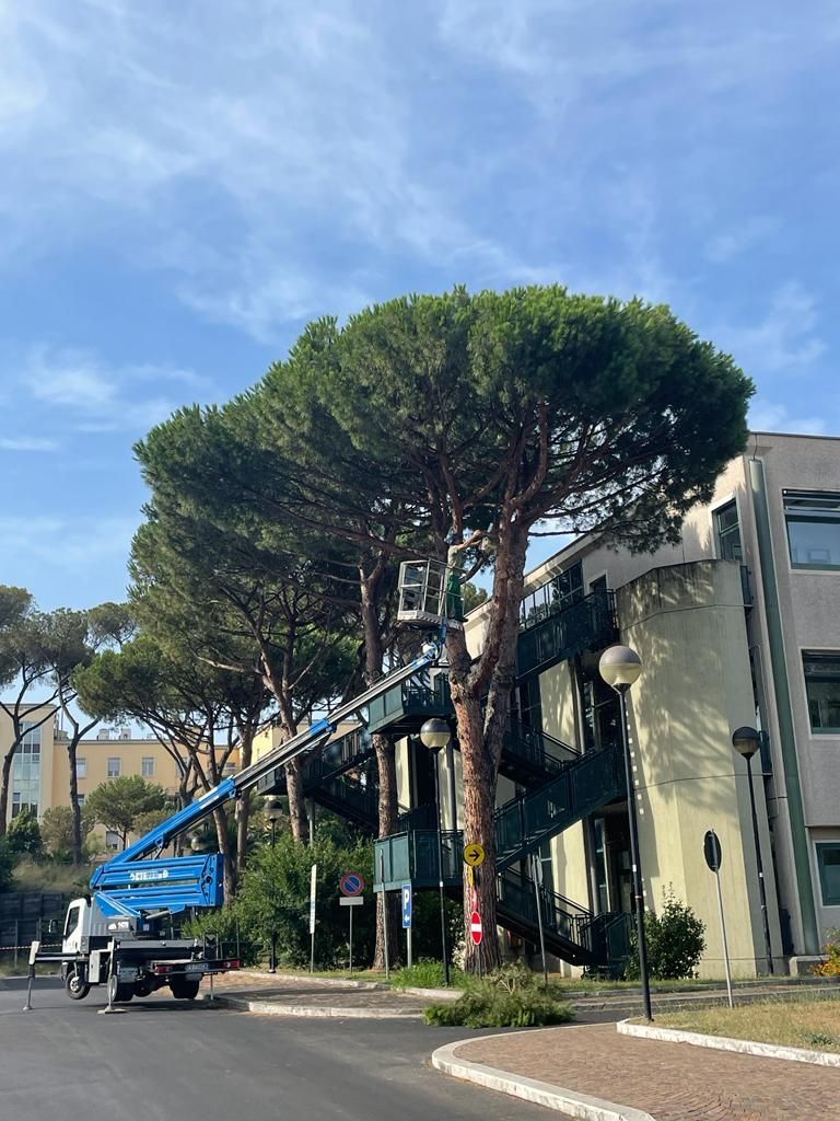Impianto di irrigazione automatico in un giardino residenziale con prato verde e irrigatori in funzione.
