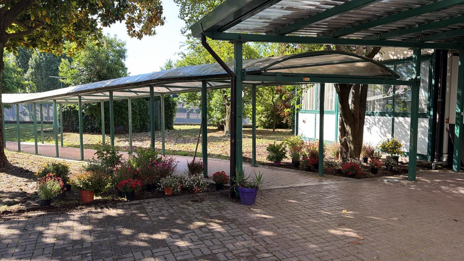 Impianto di irrigazione automatico in un giardino residenziale con prato verde e irrigatori in funzione.