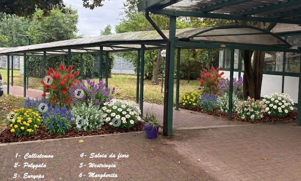 Impianto di irrigazione automatico in un giardino residenziale con prato verde e irrigatori in funzione.