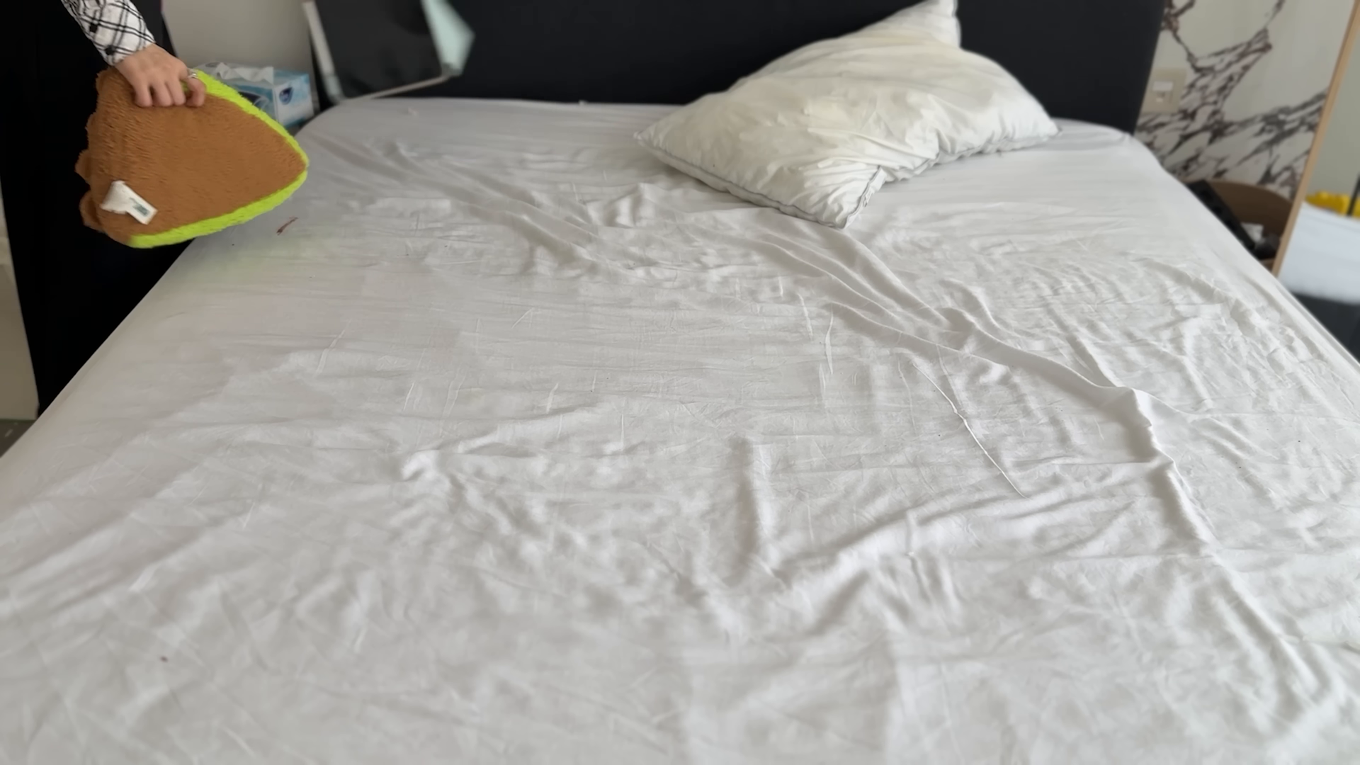 Apartment cleaning in Astoria Heights Queens