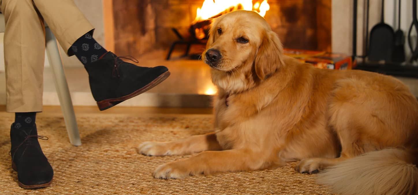 A dog is laying on the floor next to a person sitting in front of a fireplace.