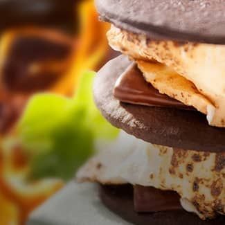 A s'mores sandwich stacked with marshmallows, chocolate mint and chocolate cookies with a fire in the background.