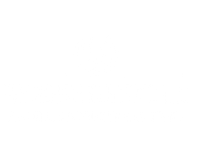 A transparent logo for plymouth electric