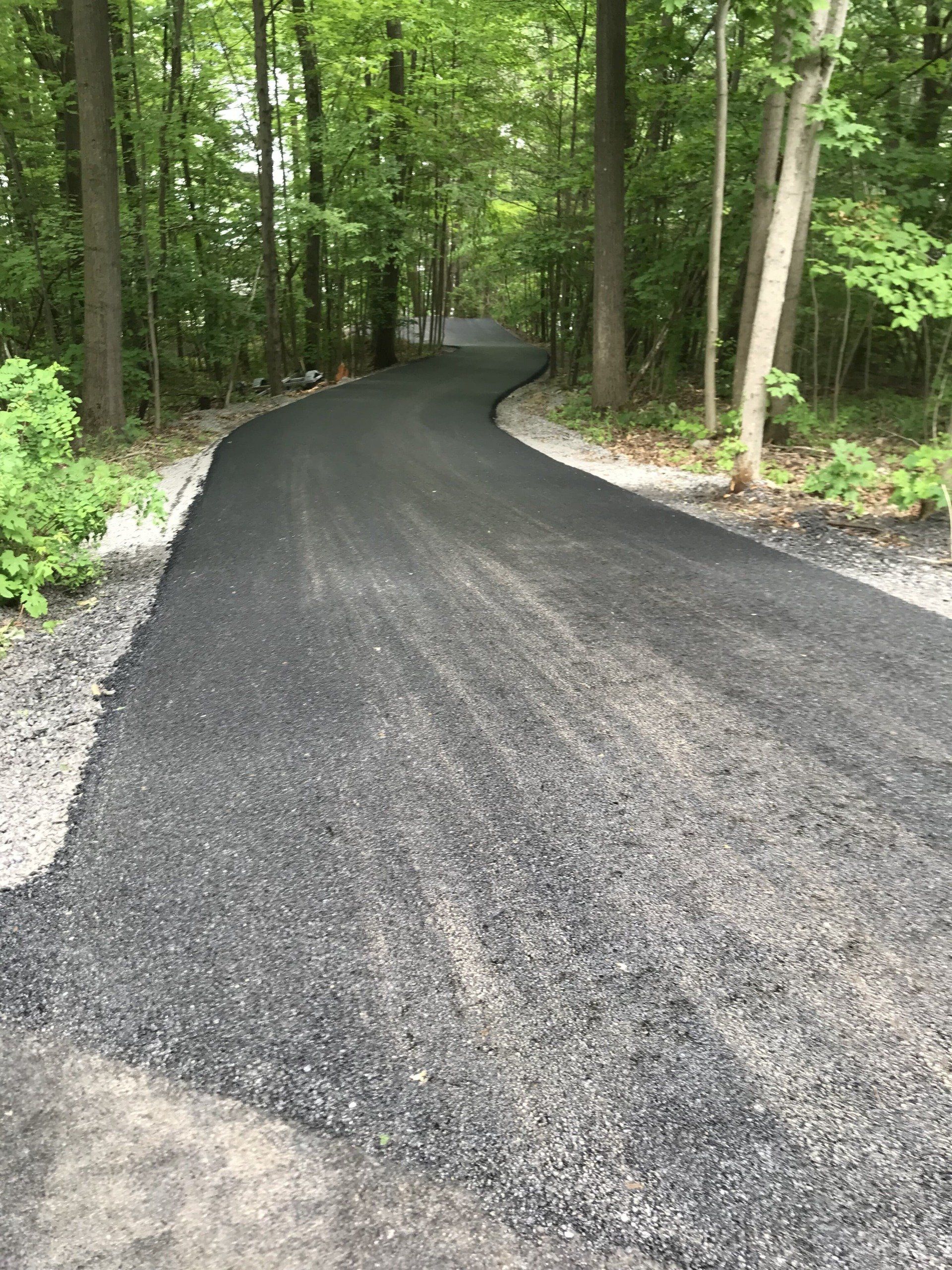 Beautiful Road With Trees — Finger Lakes — Cayuga Excavating & Paving