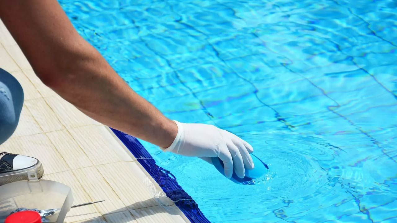Pool Algae Removal