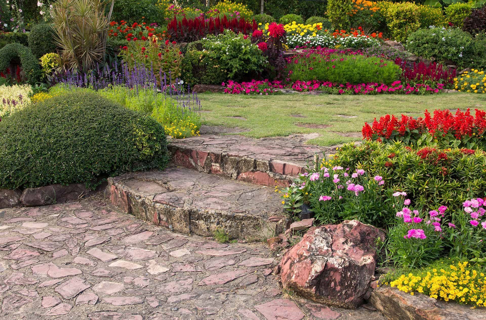 Lawn Care