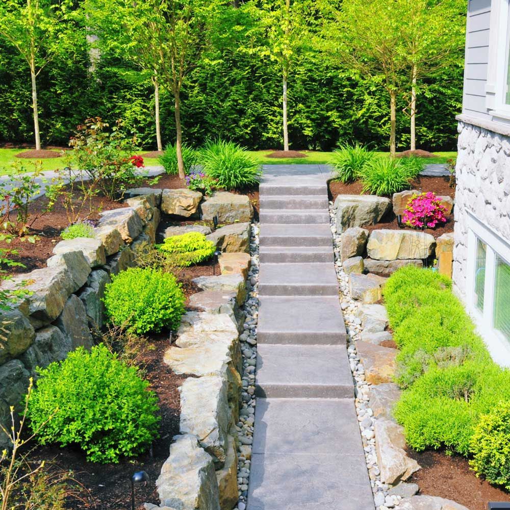 Lawn Care Services