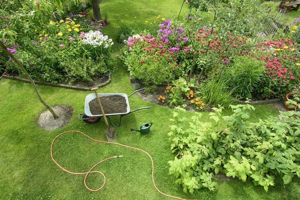 One Time Yard Clean Up
