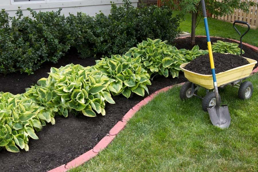 Mulch Installation