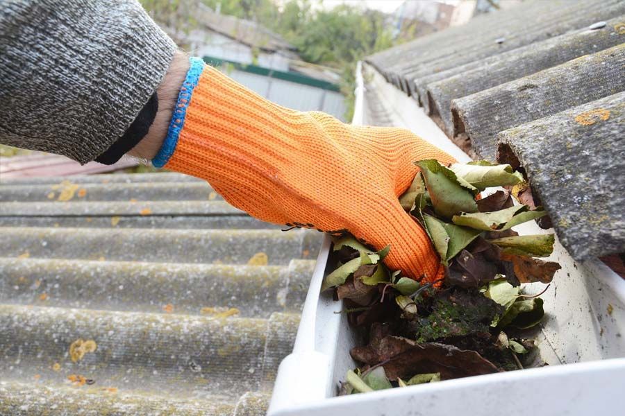 Gutter Cleaning