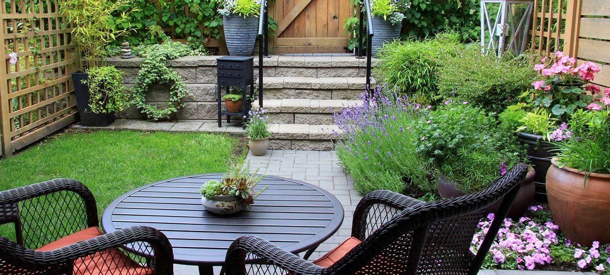 Backyard Clean Up