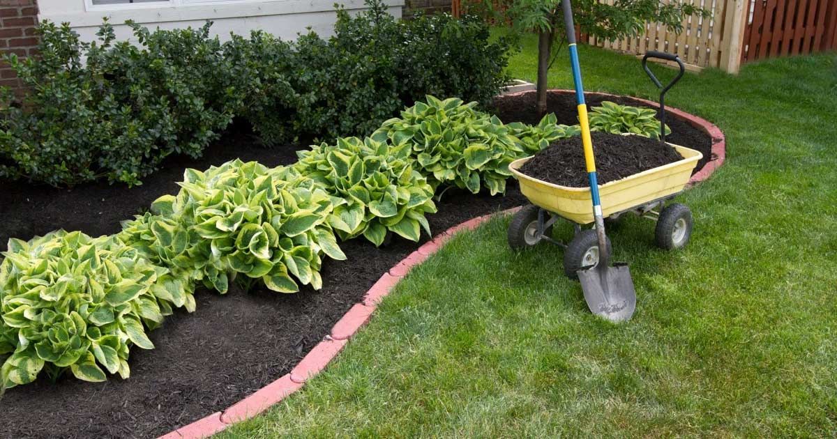 Mulch Installation