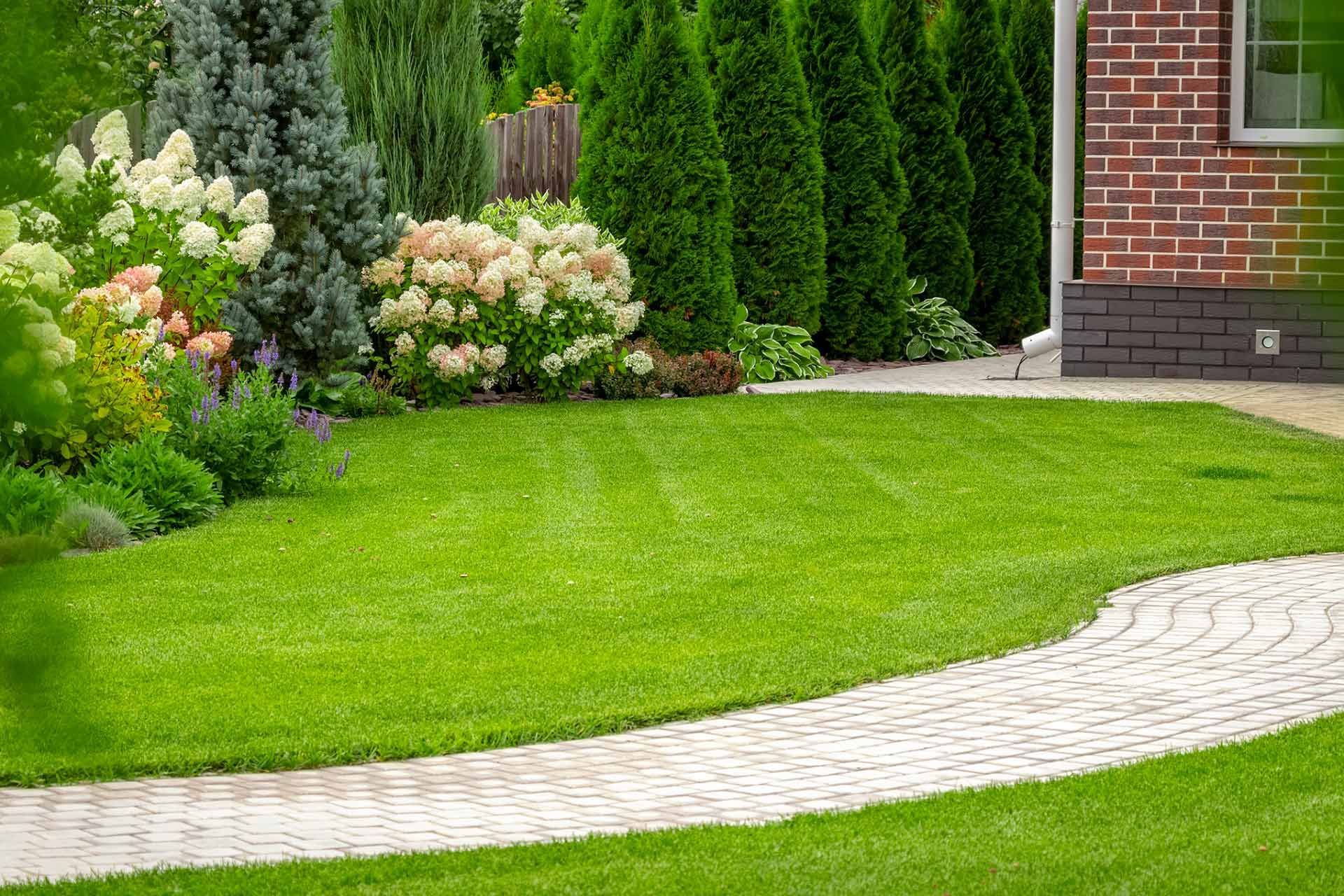 Lawn Cutting Service