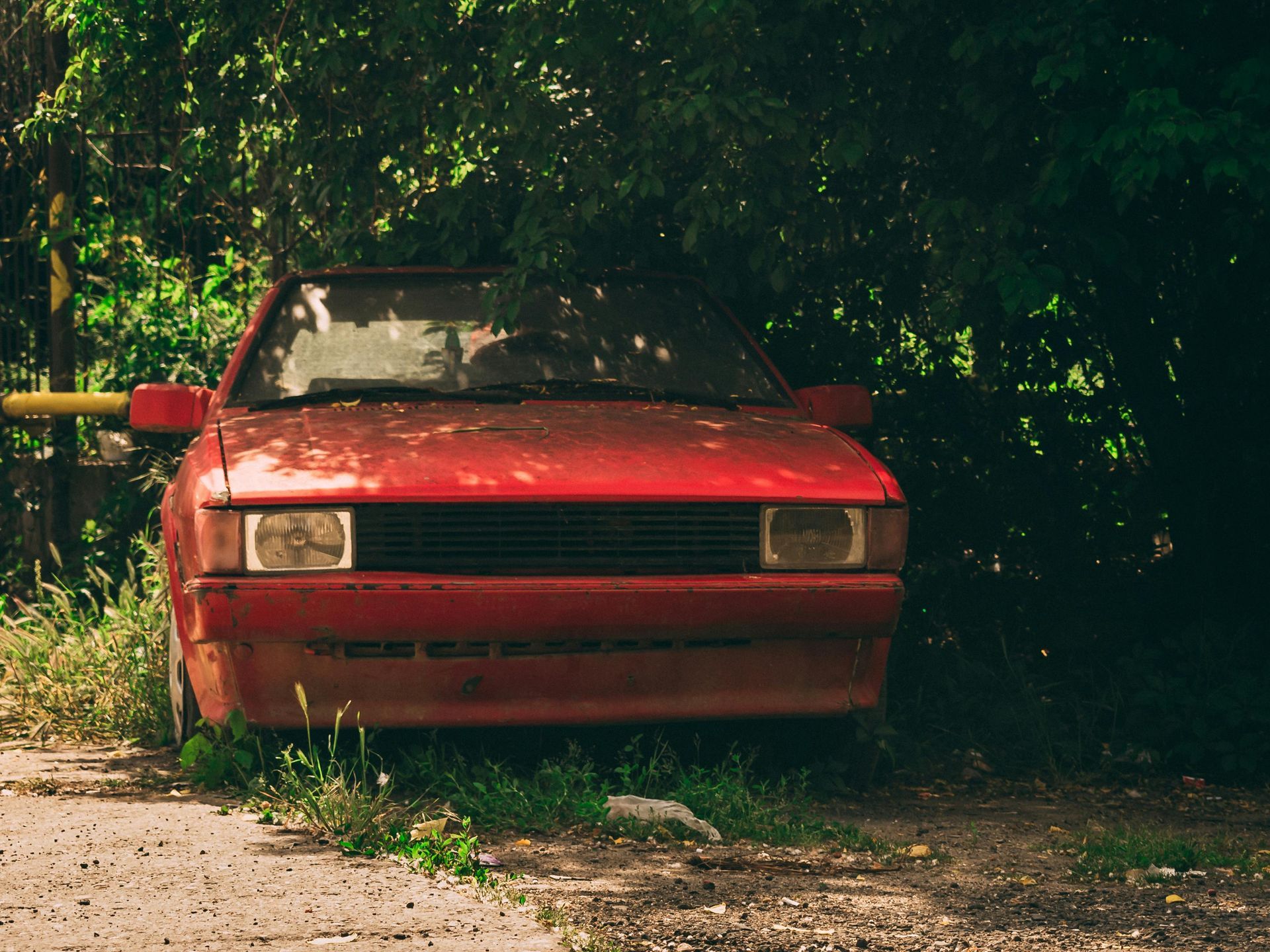 vehicle parked underneath a tree