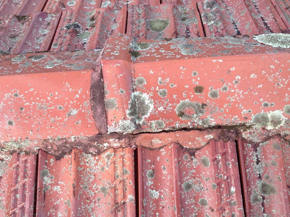 Roofing in Albion Park Anytime Plumbing and Roofing