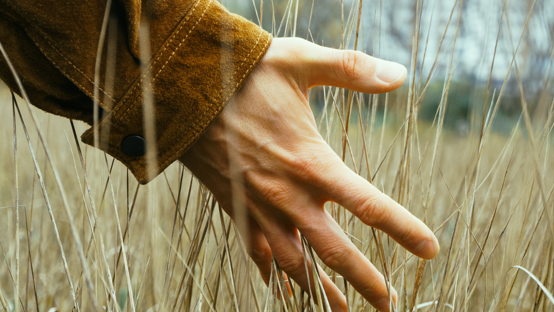 A hand in a brown suede jacket reaches out to touch tall, dry blades of grass in a field.