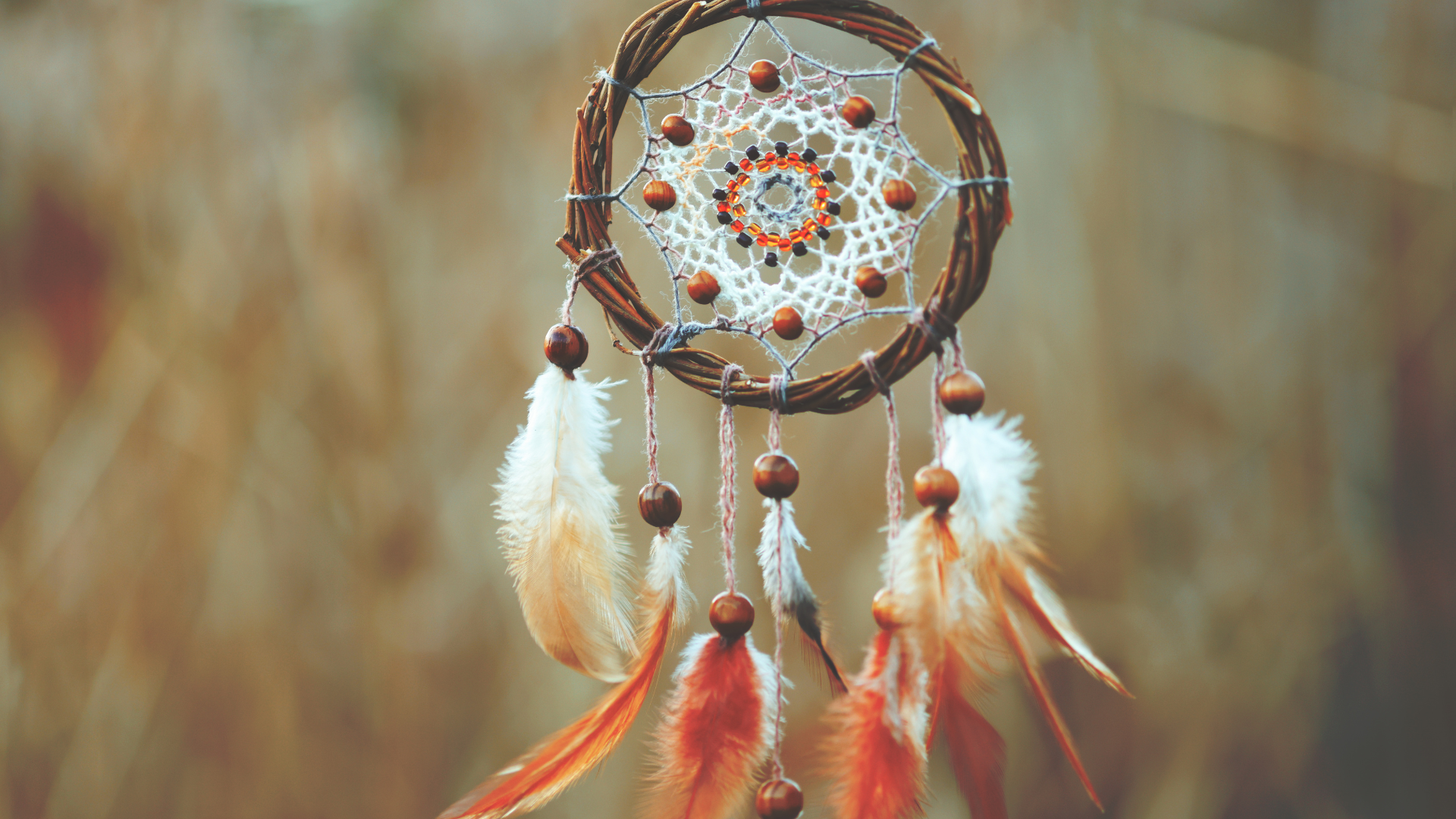 A dreamcatcher with a woven web and hanging feathers suspended against a softly blurred, golden-toned outdoor background.