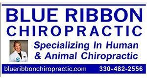 Blue Ribbon Chiropractic logo: woman, text