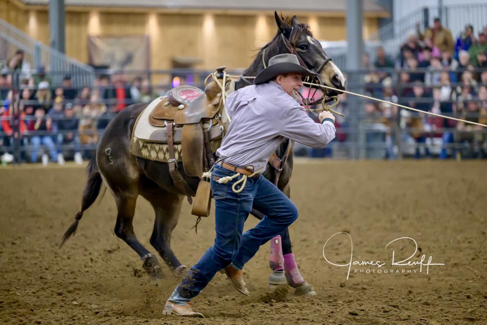 Cowboy roping horse in a rodeo arena. Man in jeans and hat pulls rope; horse pulls back. Crowd in background.