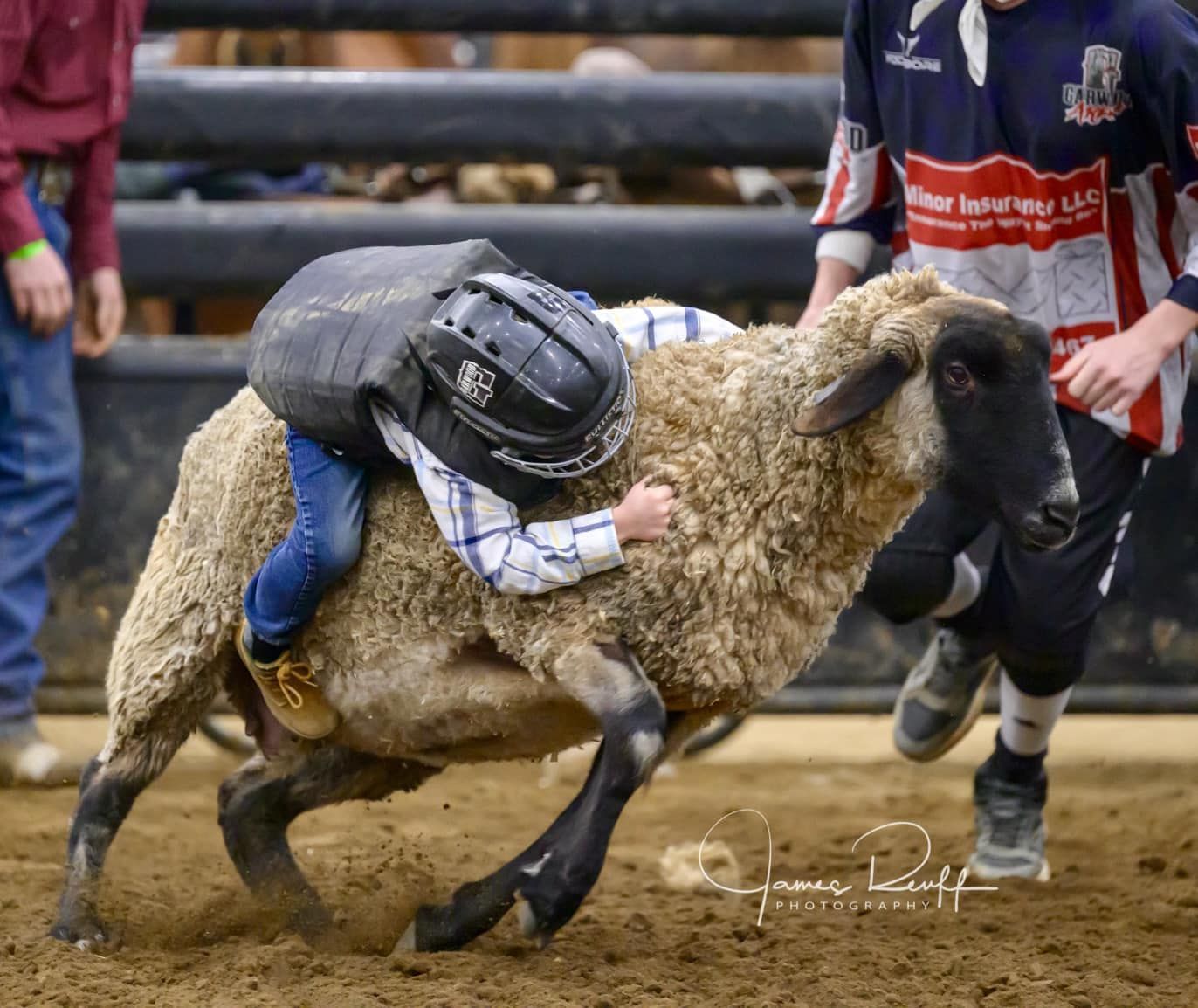 Child riding a sheep in a rodeo; both are in motion. Arena setting, adult in background.