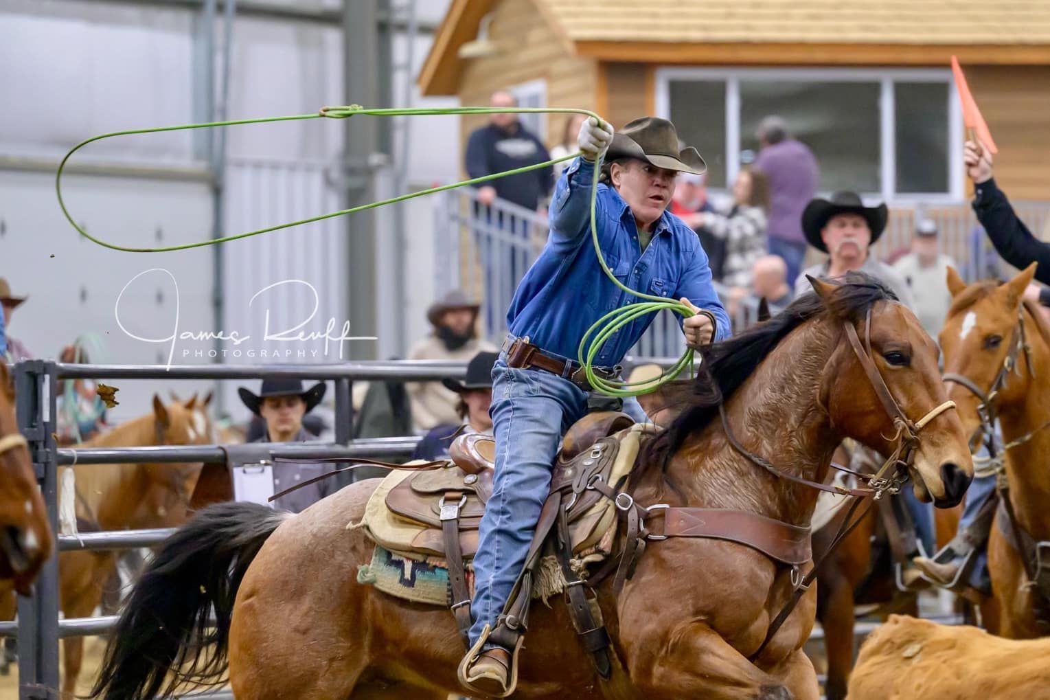 Cowboy on a horse roping in an arena, rope in mid-air. Other riders and spectators in the background.