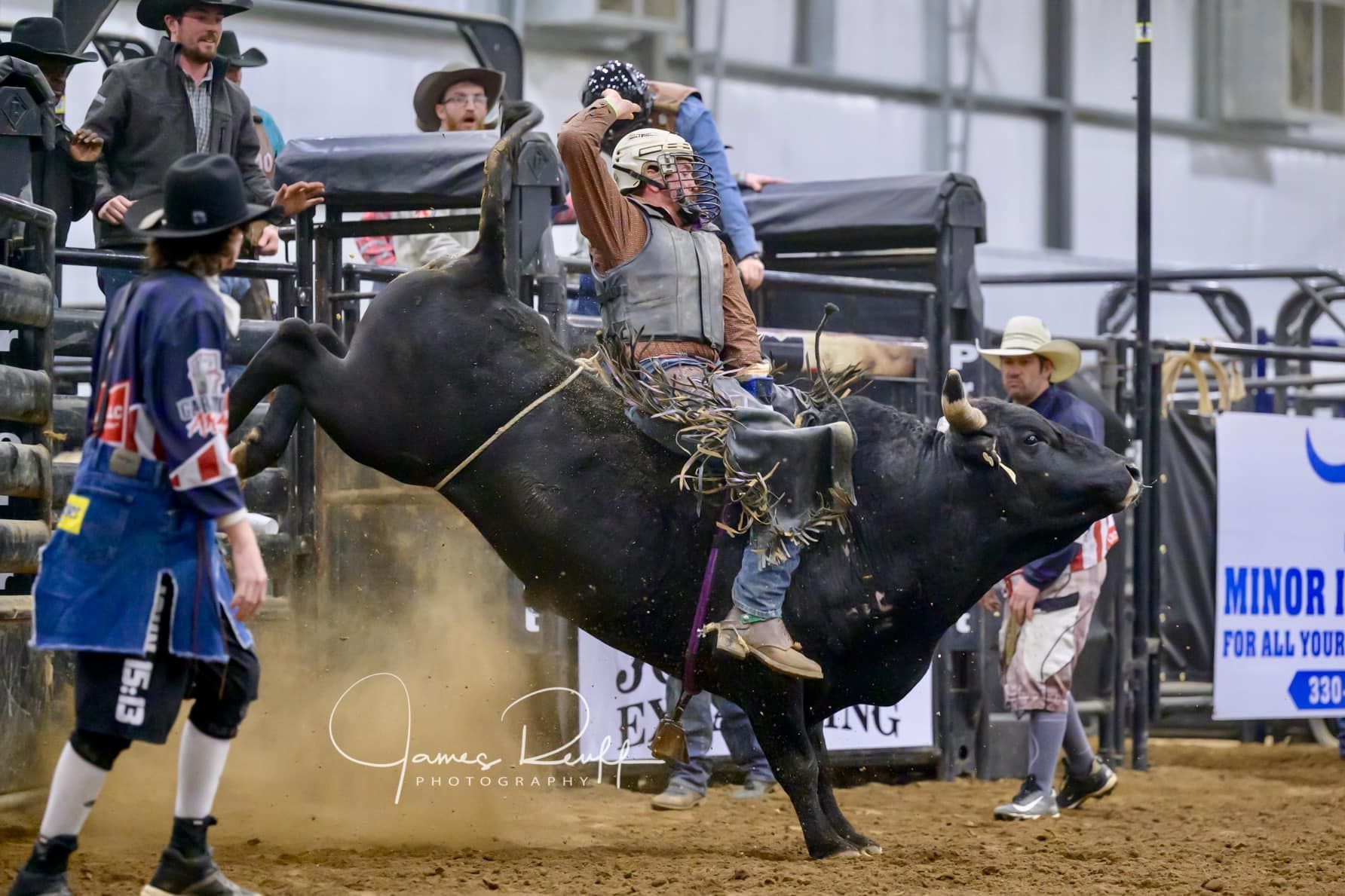 A bull rider in a rodeo event, clinging to a bucking black bull indoors.