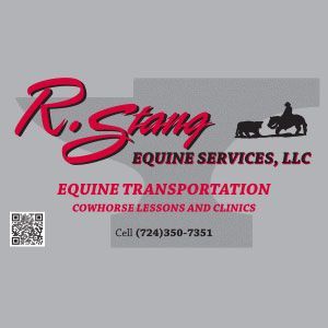 Logo for R. Stang Equine Services, LLC: red script text, silhouette of horse & rider, gray background, contact info.