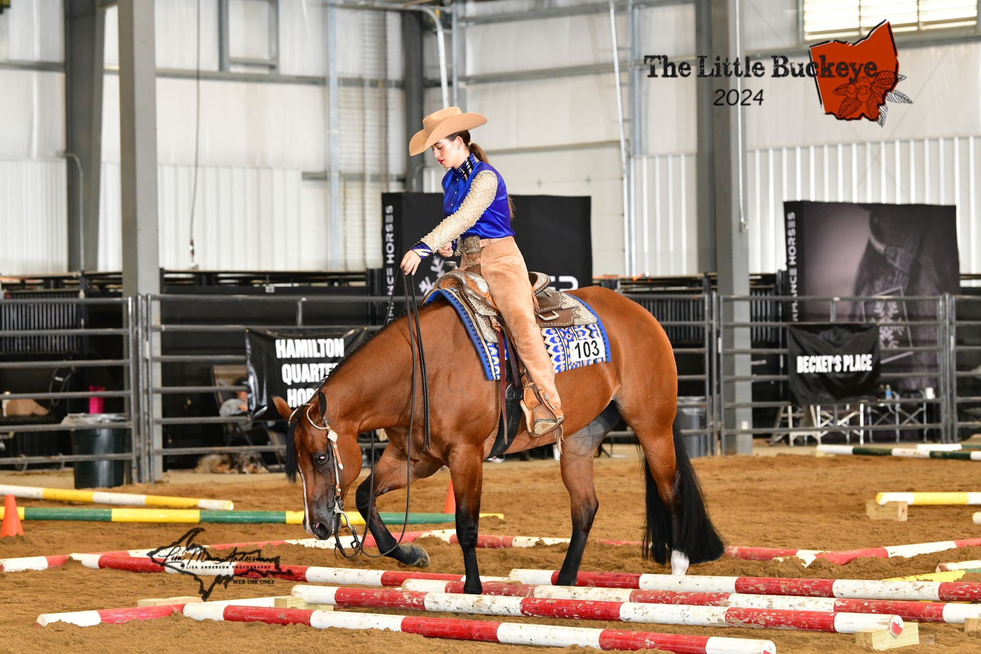 A rider on a brown horse maneuvers an obstacle course at a horse show. The horse is walking through a set of poles.